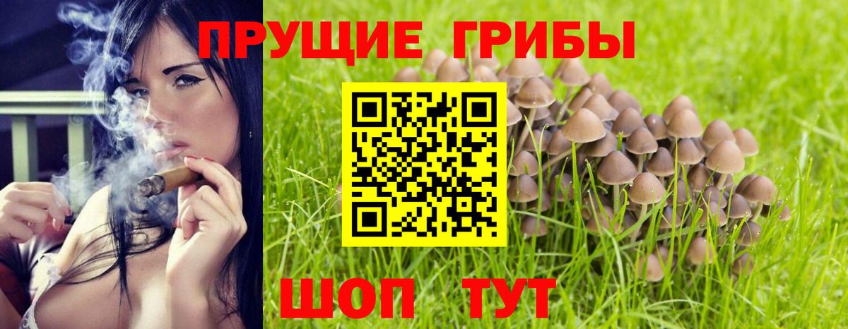 Шадринск  Псилоцибиновые грибы GOLDEN TEACHER  Вход с VPN 