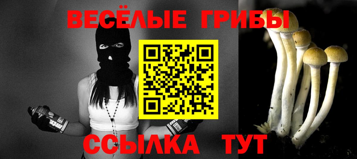 Псилоцибиновые грибы Psilocybine cubensis Шадринск